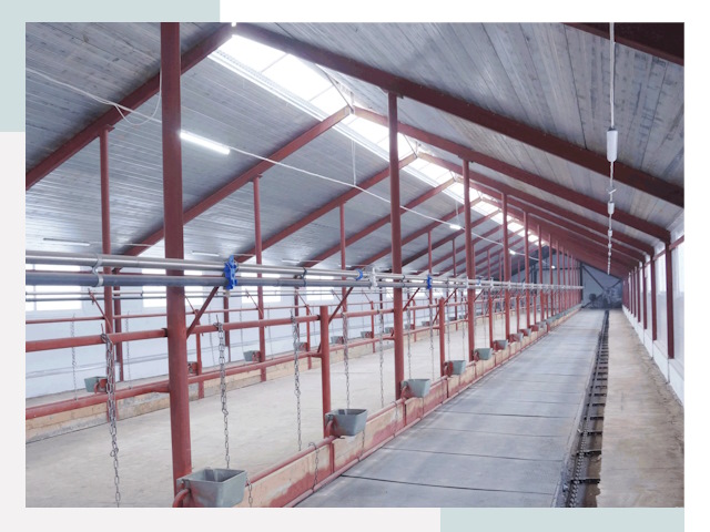 Строительство коровников в Чехове от 610 руб.