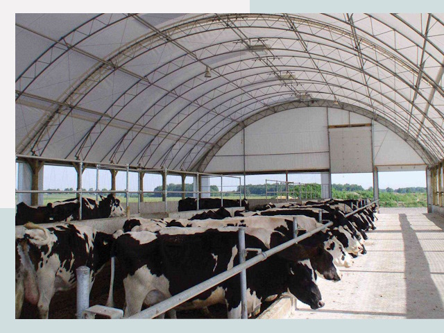 Тентовые коровники в Чехове